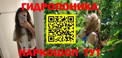 хмурый Бердск
