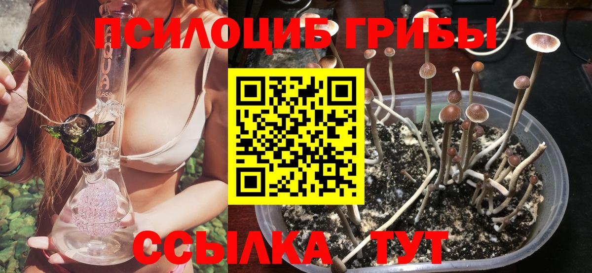 Вольск  Галлюциногенные грибы Magic Shrooms  Вход с VPN 
