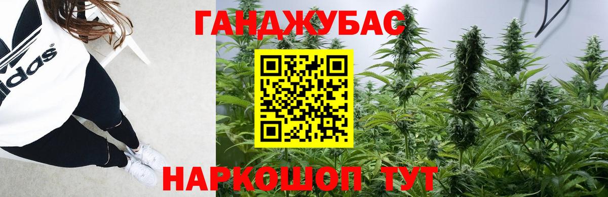 Марихуана Ganja  Вход с VPN  Канабис LSD WEED  Шишки марихуана Bruce Banner  Бошки марихуана план  Вольск 